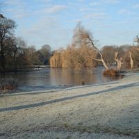 Top 10 places for leap year proposals