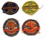 Swim Badges  Did you use to sew them onto your swim costumes? 