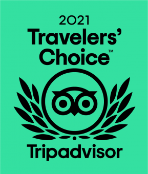 Trip advisor Travellers' Choice 2021 logo green.png
