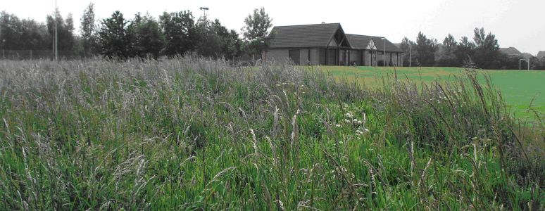 photograph with long grass in foreground and community building in background