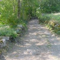 Enjoy the outdoors with online courses