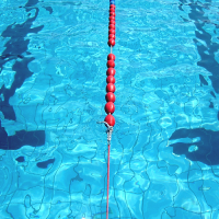 Institute of Swimming delivers bespoke training for Teachers