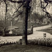 The History of The Derby Arboretumn