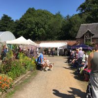 A Garden on a Golden Afternoon