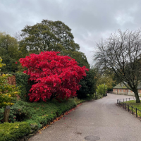 Discover Autumn in Derby Parks