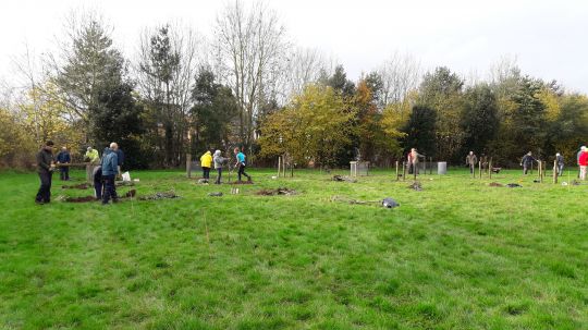New Community Orchard1.jpg