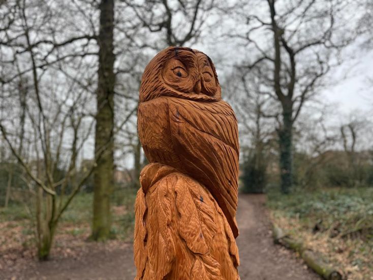 A wooden carved Owl sits on an oak leave covered post in a wooded area.