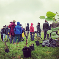 Winter 2019 Conservation Updates