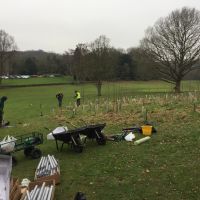 Celebrating 175 years with 1846 trees